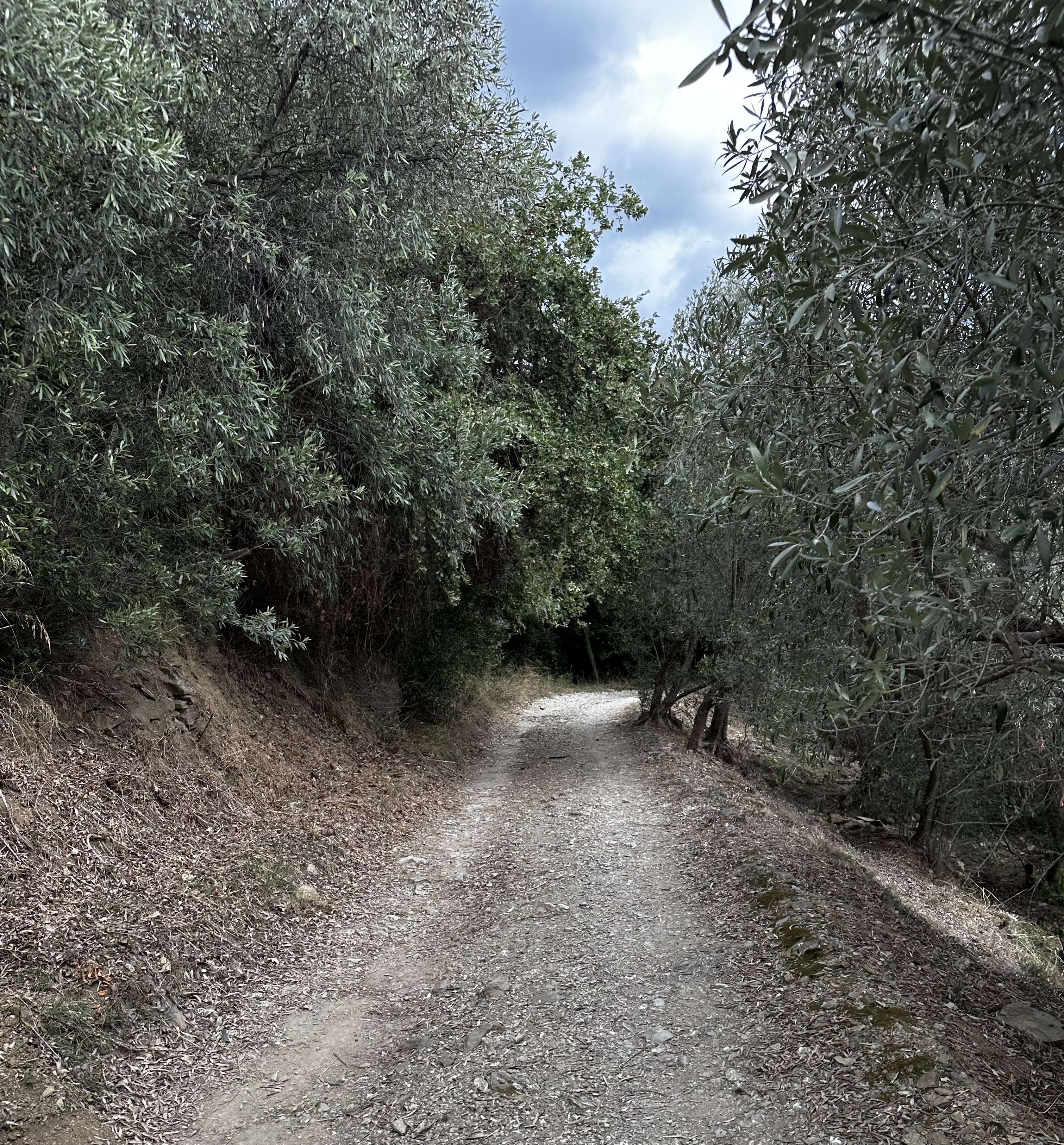 5 giorni di silenzio, meditazione e scrittura