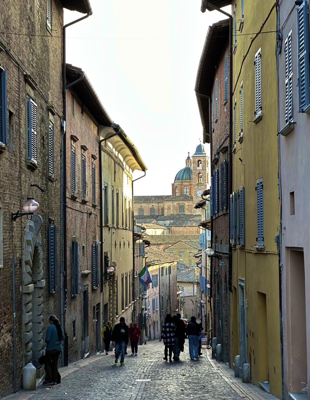 Urbino